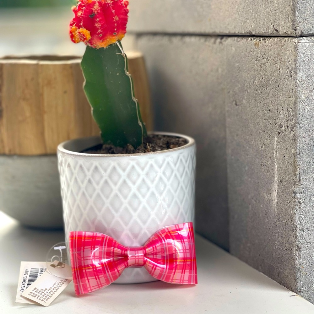 Chaplet Paris bow hair clip